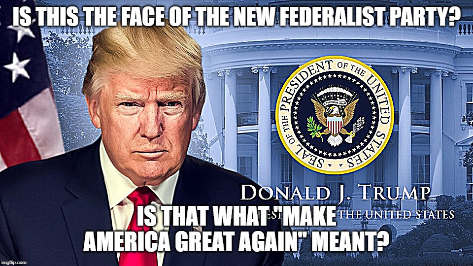 Is America being stolen from us? | IS THIS THE FACE OF THE NEW FEDERALIST PARTY? IS THAT WHAT "MAKE AMERICA GREAT AGAIN" MEANT? | image tagged in donald trump,america,government,democratic party,republican party,confederacy | made w/ Imgflip meme maker
