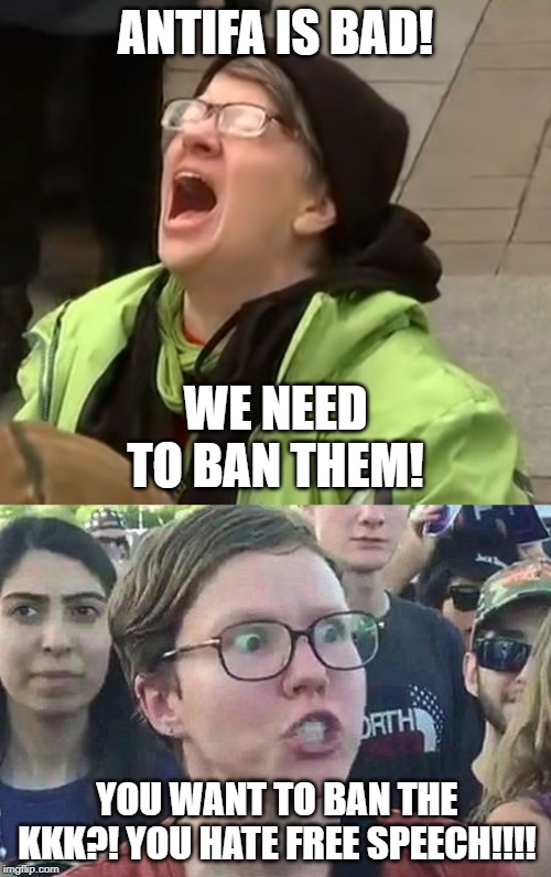 You can only roll your eyes | ANTIFA IS BAD! WE NEED TO BAN THEM! YOU WANT TO BAN THE KKK?! YOU HATE FREE SPEECH!!!! | image tagged in snowflake,triggered conservatives,hipocrisy,such bs | made w/ Imgflip meme maker
