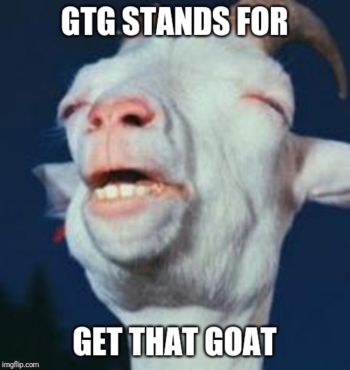 goat | GTG STANDS FOR; GET THAT GOAT | image tagged in goat | made w/ Imgflip meme maker