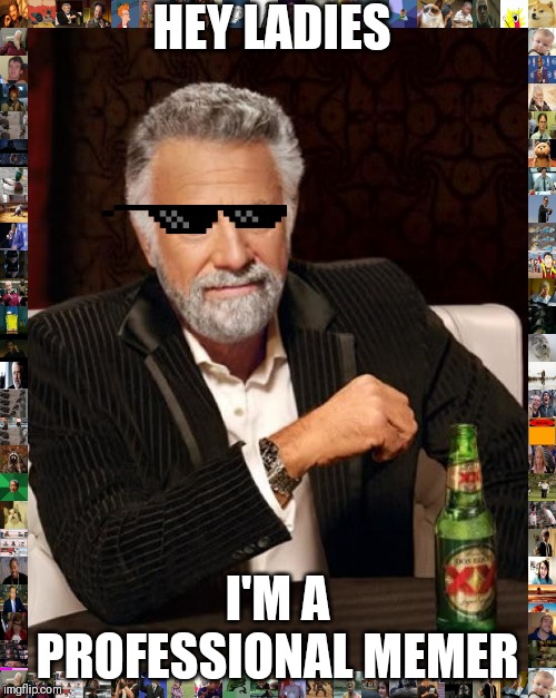 The Most Interesting Man In The World | HEY LADIES; I'M A PROFESSIONAL MEMER | image tagged in memes,the most interesting man in the world | made w/ Imgflip meme maker