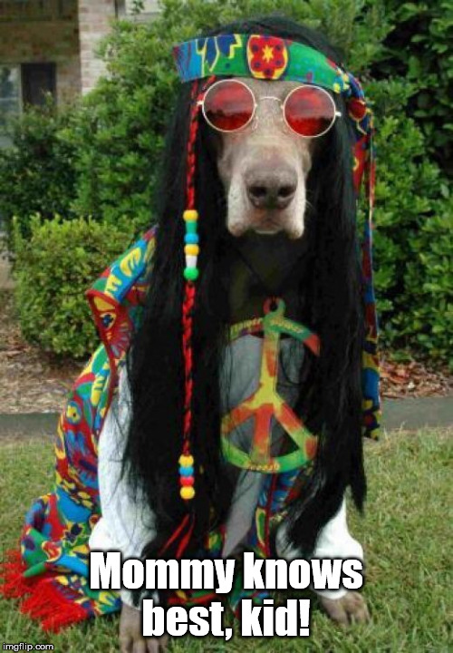 Hippie dog  | Mommy knows best, kid! | image tagged in hippie dog | made w/ Imgflip meme maker