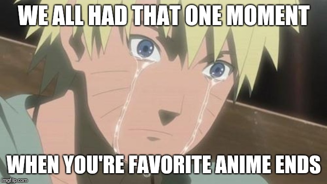We all had that one moment | WE ALL HAD THAT ONE MOMENT; WHEN YOU'RE FAVORITE ANIME ENDS | image tagged in finishing anime | made w/ Imgflip meme maker