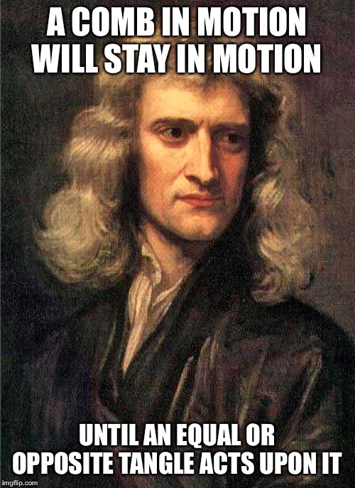 Isaac Newton  | A COMB IN MOTION WILL STAY IN MOTION; UNTIL AN EQUAL OR OPPOSITE TANGLE ACTS UPON IT | image tagged in isaac newton | made w/ Imgflip meme maker