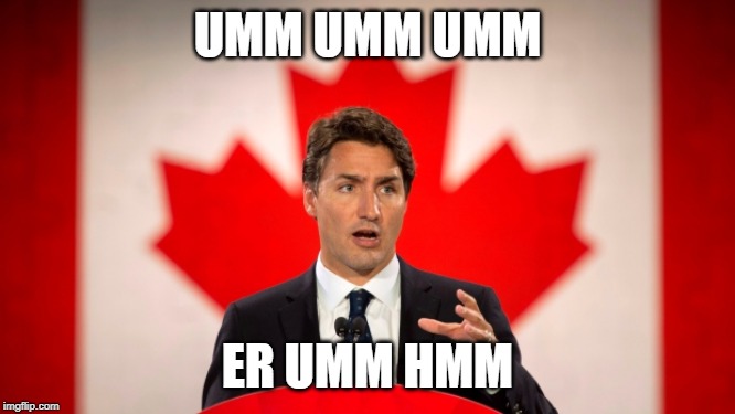 Justin Trudeau | UMM UMM UMM; ER UMM HMM | image tagged in justin trudeau | made w/ Imgflip meme maker