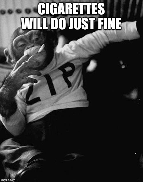 smoking monkey  | CIGARETTES WILL DO JUST FINE | image tagged in smoking monkey | made w/ Imgflip meme maker