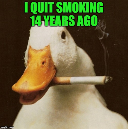 Goose with cigarette | I QUIT SMOKING 14 YEARS AGO | image tagged in goose with cigarette | made w/ Imgflip meme maker