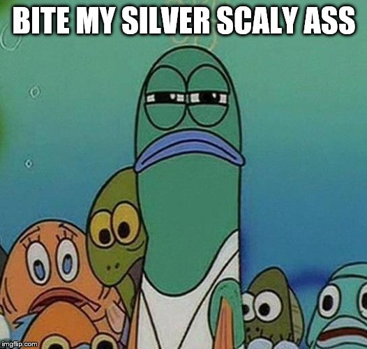 SpongeBob | BITE MY SILVER SCALY ASS | image tagged in spongebob | made w/ Imgflip meme maker