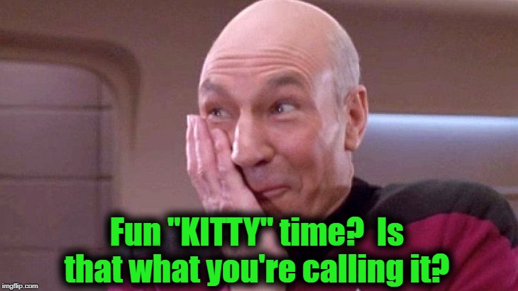 picard grin | Fun "KITTY" time?  Is that what you're calling it? | image tagged in picard grin | made w/ Imgflip meme maker