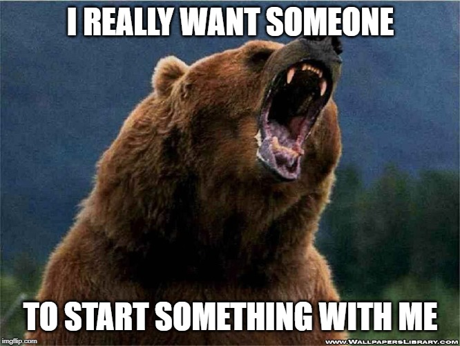 Angry Confession Bear | I REALLY WANT SOMEONE; TO START SOMETHING WITH ME | image tagged in angry confession bear | made w/ Imgflip meme maker