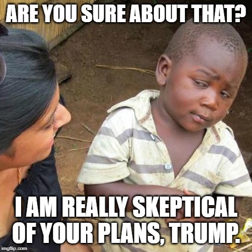 Third World Skeptical Kid Meme | ARE YOU SURE ABOUT THAT? I AM REALLY SKEPTICAL OF YOUR PLANS, TRUMP. | image tagged in memes,third world skeptical kid | made w/ Imgflip meme maker