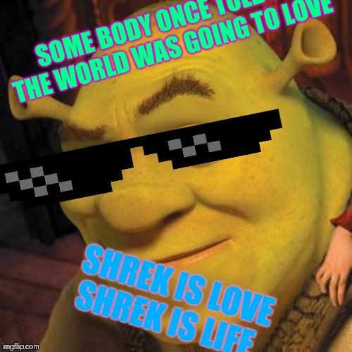 Some body once told me 
Diy | SOME BODY ONCE TOLD ME THE WORLD WAS GOING TO LOVE; SHREK IS LOVE SHREK IS LIFE | image tagged in shrek sexy face | made w/ Imgflip meme maker