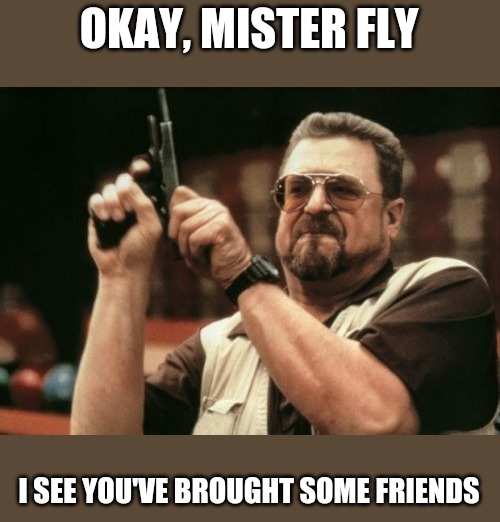 Am I The Only One Around Here Meme | OKAY, MISTER FLY; I SEE YOU'VE BROUGHT SOME FRIENDS | image tagged in memes,am i the only one around here | made w/ Imgflip meme maker