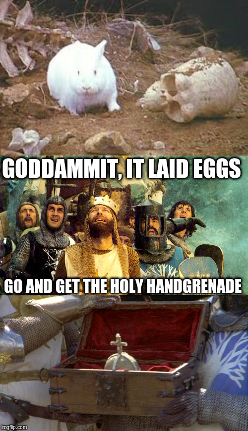 GO AND GET THE HOLY HANDGRENADE GODDAMMIT, IT LAID EGGS | image tagged in holy hand grenade,holy grail rabbit,monty python holy grail | made w/ Imgflip meme maker