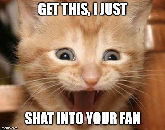 Excited Cat | GET THIS, I JUST; SHAT INTO YOUR FAN | image tagged in memes,excited cat | made w/ Imgflip meme maker