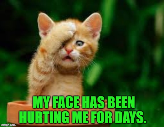 Trying not to be worried about it. But you know. Worriers gonna worry. | MY FACE HAS BEEN HURTING ME FOR DAYS. | image tagged in face palm cat,nixieknox,memes | made w/ Imgflip meme maker