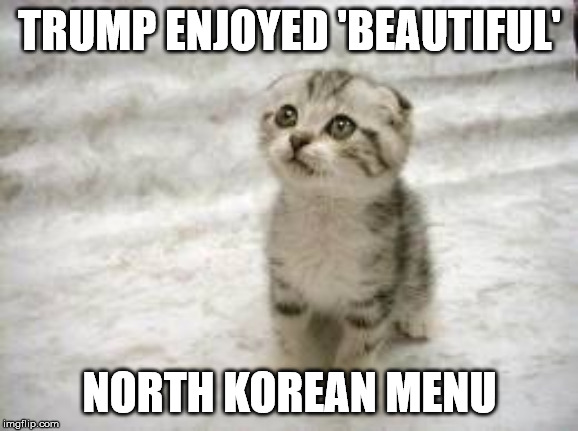 Sad Cat | TRUMP ENJOYED 'BEAUTIFUL'; NORTH KOREAN MENU | image tagged in memes,sad cat | made w/ Imgflip meme maker