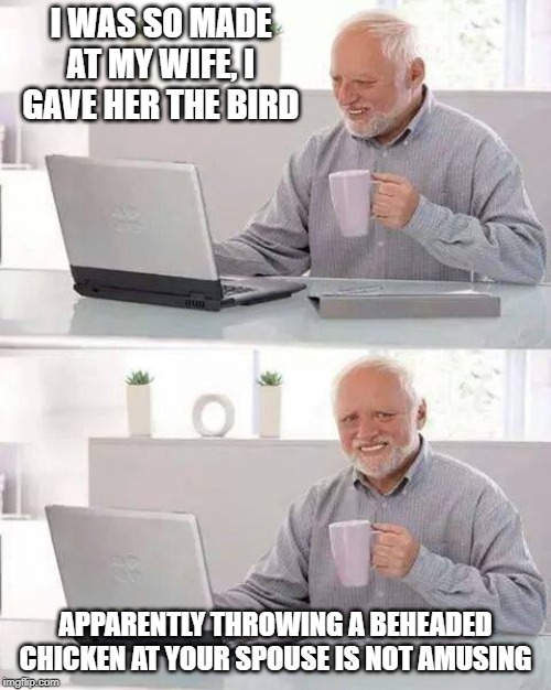 The Bird is the Word | I WAS SO MADE AT MY WIFE, I GAVE HER THE BIRD; APPARENTLY THROWING A BEHEADED CHICKEN AT YOUR SPOUSE IS NOT AMUSING | image tagged in memes,hide the pain harold | made w/ Imgflip meme maker