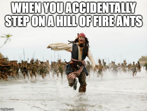 You Better Run... | WHEN YOU ACCIDENTALLY STEP ON A HILL OF FIRE ANTS | image tagged in memes,jack sparrow being chased | made w/ Imgflip meme maker
