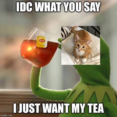 But That's None Of My Business Meme | IDC WHAT YOU SAY; I JUST WANT MY TEA | image tagged in memes,but thats none of my business,kermit the frog,cats | made w/ Imgflip meme maker