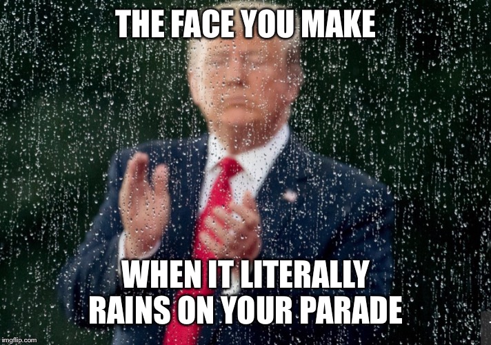 The face | THE FACE YOU MAKE; WHEN IT LITERALLY RAINS ON YOUR PARADE | image tagged in trump,rain | made w/ Imgflip meme maker
