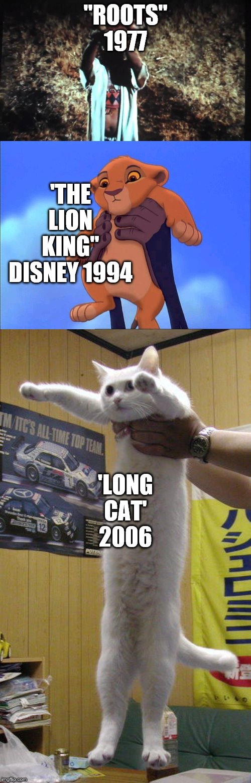 Movie history | "ROOTS" 1977; 'THE LION KING" DISNEY 1994; 'LONG CAT' 2006 | image tagged in roots,cats,lion king | made w/ Imgflip meme maker
