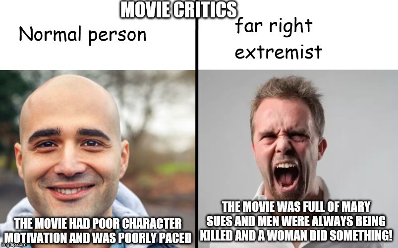 Movie critics in a nutshell | MOVIE CRITICS; THE MOVIE HAD POOR CHARACTER MOTIVATION AND WAS POORLY PACED; THE MOVIE WAS FULL OF MARY SUES AND MEN WERE ALWAYS BEING KILLED AND A WOMAN DID SOMETHING! | image tagged in movie,critics,criticism,far right | made w/ Imgflip meme maker