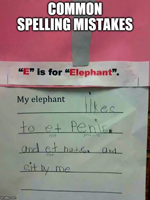 Common Spelling Mistakes for Kids | COMMON SPELLING MISTAKES | image tagged in funny memes,memes,spelling error,funny spelling mistakes | made w/ Imgflip meme maker