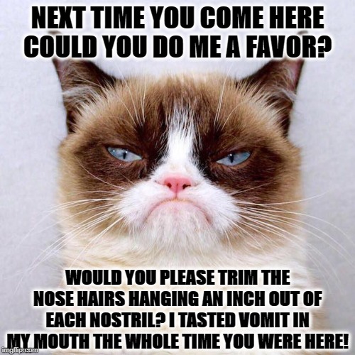 JUDGMENT GRUMP | NEXT TIME YOU COME HERE COULD YOU DO ME A FAVOR? WOULD YOU PLEASE TRIM THE NOSE HAIRS HANGING AN INCH OUT OF EACH NOSTRIL? I TASTED VOMIT IN MY MOUTH THE WHOLE TIME YOU WERE HERE! | image tagged in judgment grump | made w/ Imgflip meme maker