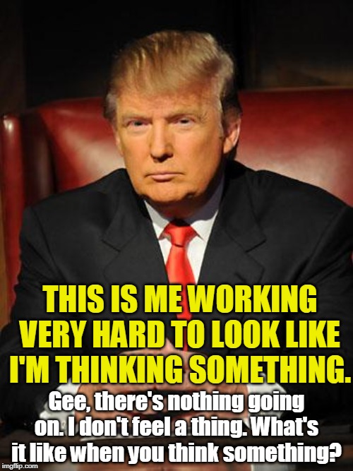 I'm concentrating very hard, I really am. Can we stop now? | THIS IS ME WORKING VERY HARD TO LOOK LIKE I'M THINKING SOMETHING. Gee, there's nothing going on. I don't feel a thing. What's it like when you think something? | image tagged in serious trump | made w/ Imgflip meme maker
