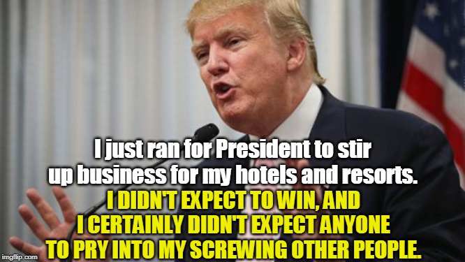 Filtering out the B.S. and leaving only the truth. | I just ran for President to stir up business for my hotels and resorts. I DIDN'T EXPECT TO WIN, AND I CERTAINLY DIDN'T EXPECT ANYONE TO PRY INTO MY SCREWING OTHER PEOPLE. | image tagged in trump huge,president,business,screw | made w/ Imgflip meme maker