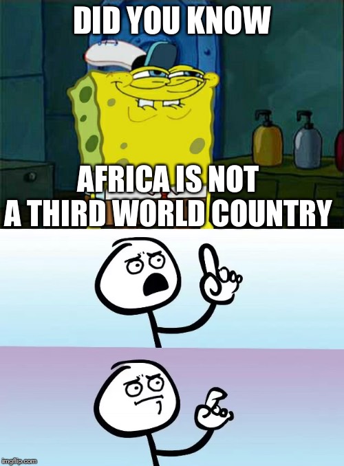 Why does everyone refer to Africa like a country? | DID YOU KNOW; AFRICA IS NOT A THIRD WORLD COUNTRY | image tagged in memes,dont you squidward,speechless | made w/ Imgflip meme maker
