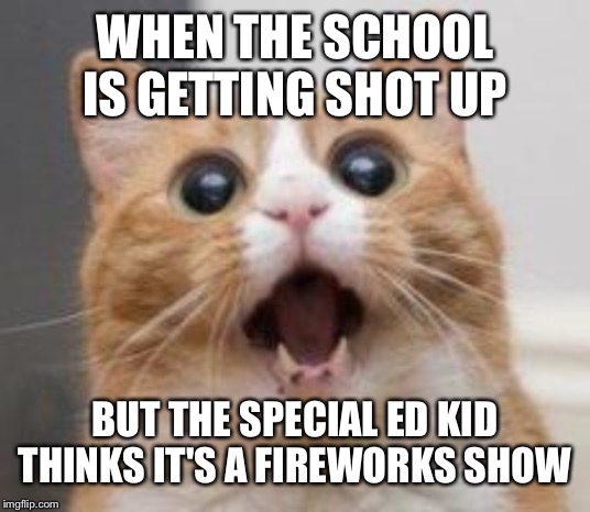 School shooting | WHEN THE SCHOOL IS GETTING SHOT UP; BUT THE SPECIAL ED KID THINKS IT'S A FIREWORKS SHOW | image tagged in wow,cats,fireworks,school shooting,autistic,autism | made w/ Imgflip meme maker
