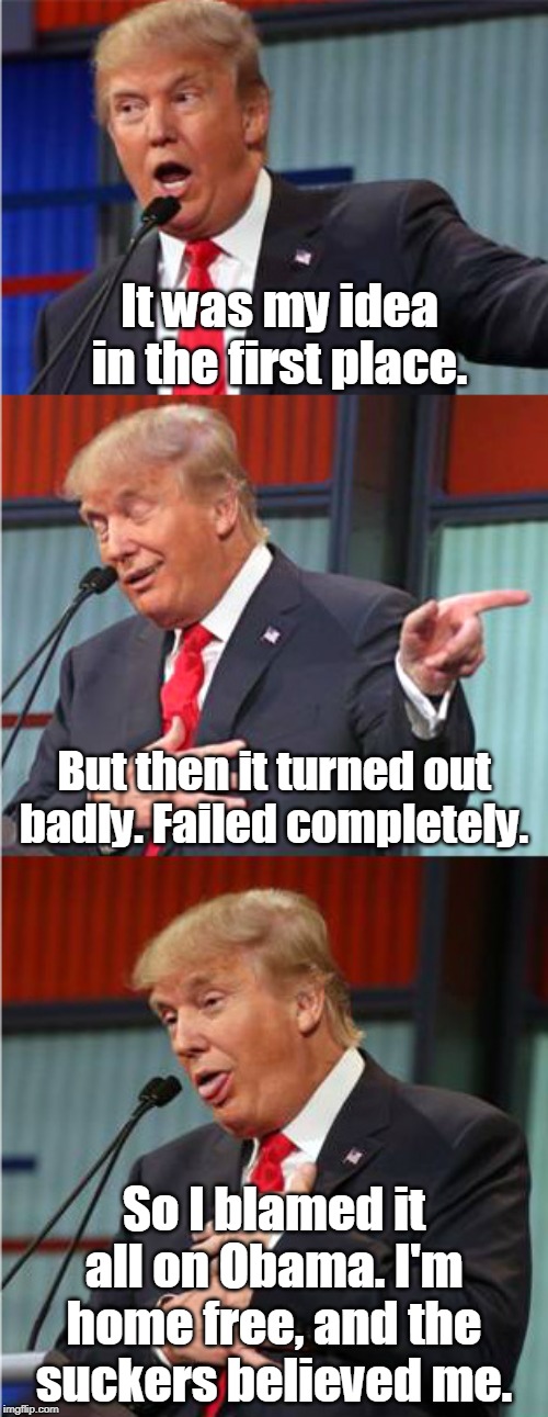 Anatomy of a Trump Fail. | It was my idea in the first place. But then it turned out badly. Failed completely. So I blamed it all on Obama. I'm home free, and the suckers believed me. | image tagged in bad pun trump,trump,obama,blame,suckers | made w/ Imgflip meme maker