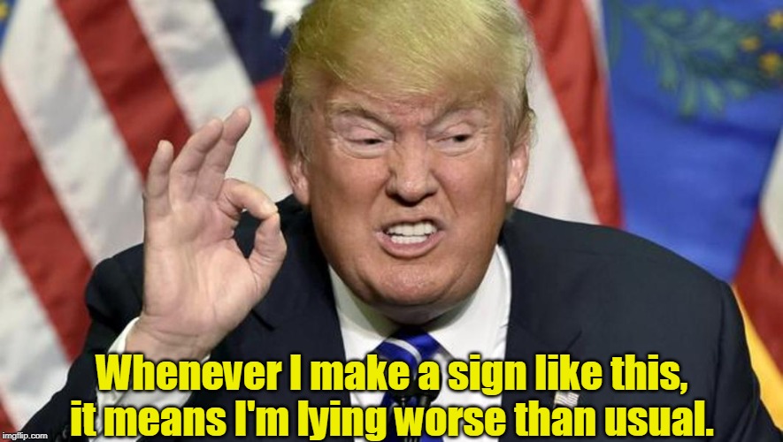Really tiny, isn't it? | Whenever I make a sign like this, it means I'm lying worse than usual. | image tagged in trump the best,trump,liar,tiny | made w/ Imgflip meme maker