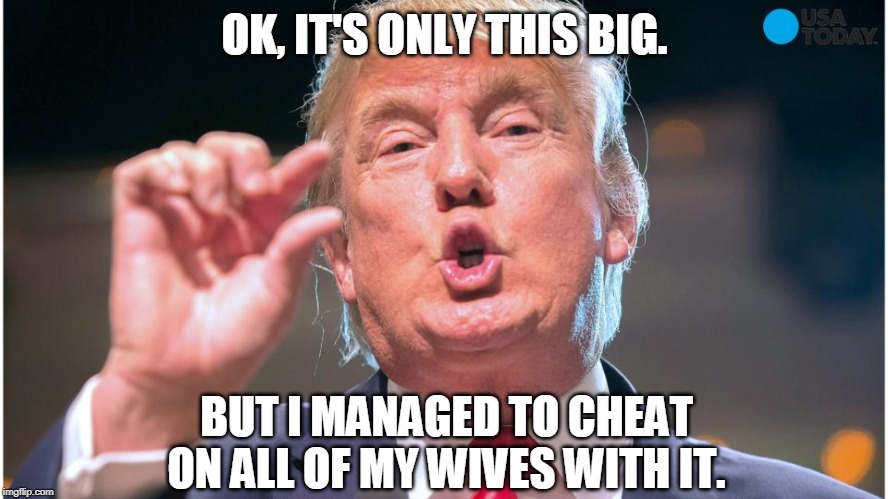 Brag, brag, brag. | OK, IT'S ONLY THIS BIG. BUT I MANAGED TO CHEAT ON ALL OF MY WIVES WITH IT. | image tagged in donald trump small brain,trump,tiny,brag,size matters | made w/ Imgflip meme maker
