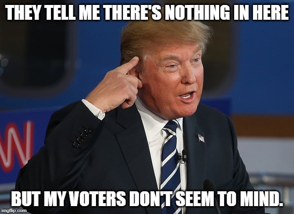Nobody home. | THEY TELL ME THERE'S NOTHING IN HERE; BUT MY VOTERS DON'T SEEM TO MIND. | image tagged in donald trump pointing to his head,trump,empty,brain | made w/ Imgflip meme maker