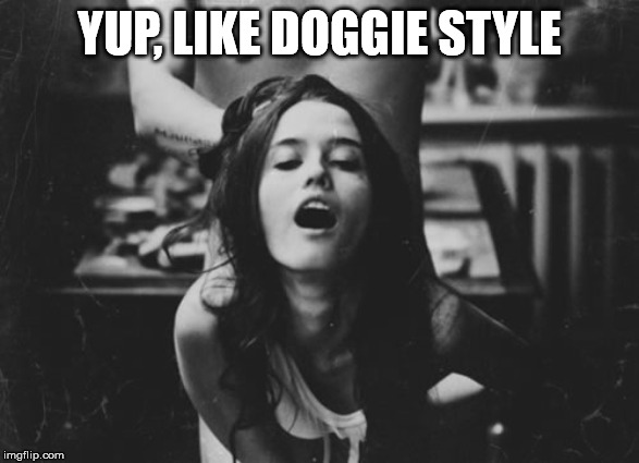 Doggy style | YUP, LIKE DOGGIE STYLE | image tagged in doggy style | made w/ Imgflip meme maker