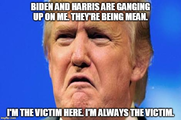 Poor Widdle Donald. | BIDEN AND HARRIS ARE GANGING UP ON ME. THEY'RE BEING MEAN. I'M THE VICTIM HERE. I'M ALWAYS THE VICTIM. | image tagged in donald trump crying,biden,harris,trump,mean,victim | made w/ Imgflip meme maker
