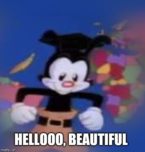 YAKKO | HELLOOO, BEAUTIFUL | image tagged in yakko | made w/ Imgflip meme maker