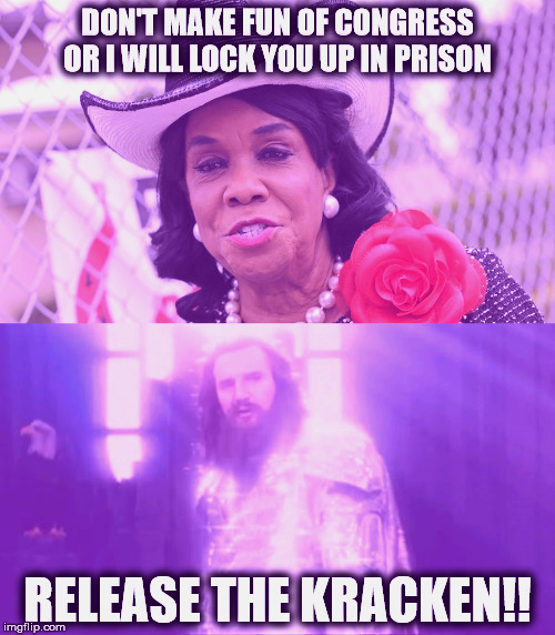 When Congresspeople Make Themselves Into Memes | DON'T MAKE FUN OF CONGRESS OR I WILL LOCK YOU UP IN PRISON; RELEASE THE KRACKEN!! | image tagged in release the kraken v1,frederica wilson | made w/ Imgflip meme maker