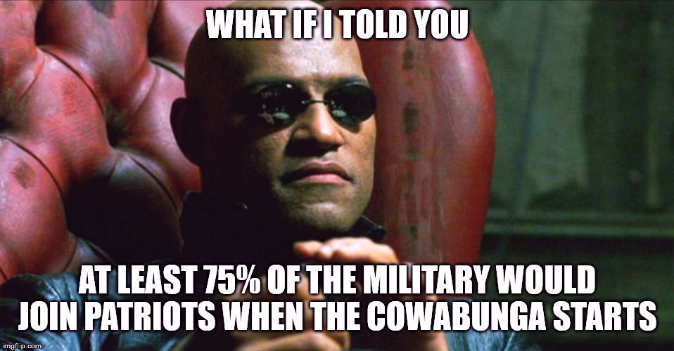 Morpheus When the Cowabunga Starts | WHAT IF I TOLD YOU; AT LEAST 75% OF THE MILITARY WOULD JOIN PATRIOTS WHEN THE COWABUNGA STARTS | image tagged in laurence fishburne morpheus,cowabunga | made w/ Imgflip meme maker