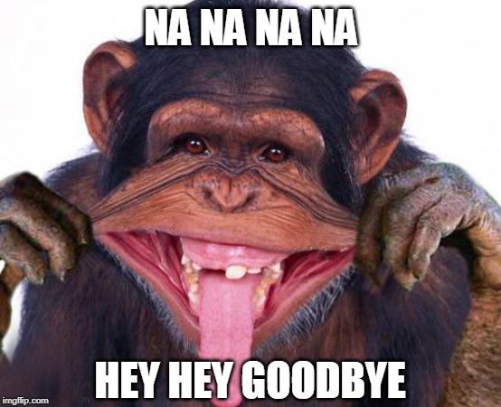 Goodbye | NA NA NA NA; HEY HEY GOODBYE | image tagged in monkey ooh | made w/ Imgflip meme maker