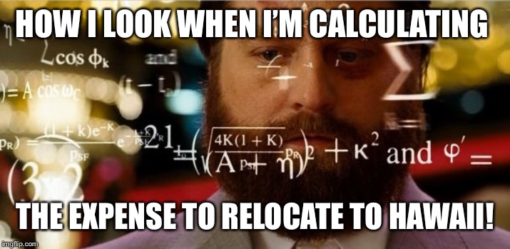 Hangover Allen | HOW I LOOK WHEN I’M CALCULATING; THE EXPENSE TO RELOCATE TO HAWAII! | image tagged in hangover allen | made w/ Imgflip meme maker