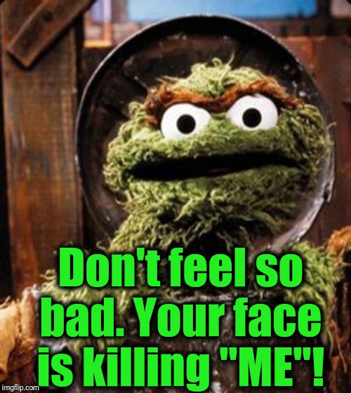 Oscar the Grouch | Don't feel so bad. Your face is killing "ME"! | image tagged in oscar the grouch | made w/ Imgflip meme maker