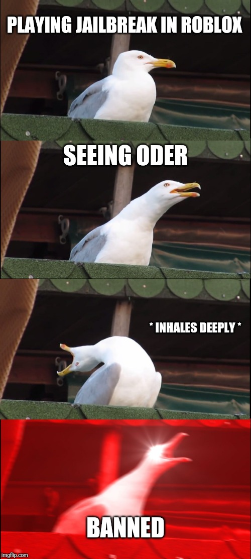 Inhaling Seagull Meme | PLAYING JAILBREAK IN ROBLOX; SEEING ODER; * INHALES DEEPLY *; BANNED | image tagged in memes,inhaling seagull | made w/ Imgflip meme maker
