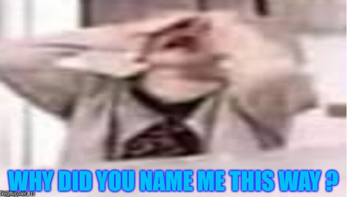 WHY DID YOU NAME ME THIS WAY ? | made w/ Imgflip meme maker