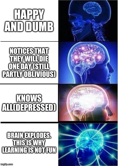 Expanding Brain Meme | HAPPY AND DUMB; NOTICES THAT THEY WILL DIE ONE DAY (STILL PARTLY OBLIVIOUS); KNOWS ALL(DEPRESSED); BRAIN EXPLODES. THIS IS WHY LEARNING IS NOT FUN | image tagged in memes,expanding brain | made w/ Imgflip meme maker