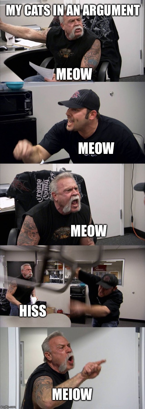 American Chopper Argument | MY CATS IN AN ARGUMENT; MEOW; MEOW; MEOW; HISS; MEIOW | image tagged in memes,american chopper argument,cats | made w/ Imgflip meme maker