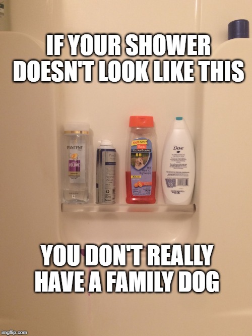 Family Dog | IF YOUR SHOWER DOESN'T LOOK LIKE THIS; YOU DON'T REALLY HAVE A FAMILY DOG | image tagged in family dog | made w/ Imgflip meme maker