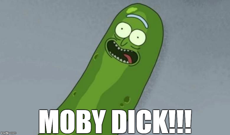 MOBY DICK!!!! | MOBY DICK!!! | image tagged in pickle rick,moby dick | made w/ Imgflip meme maker